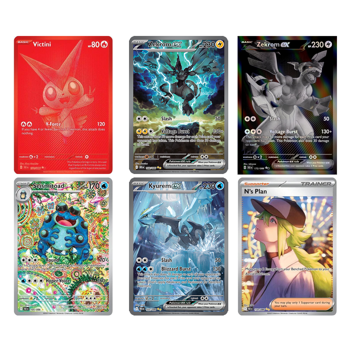 Black Bolt Elite Trainer Box
