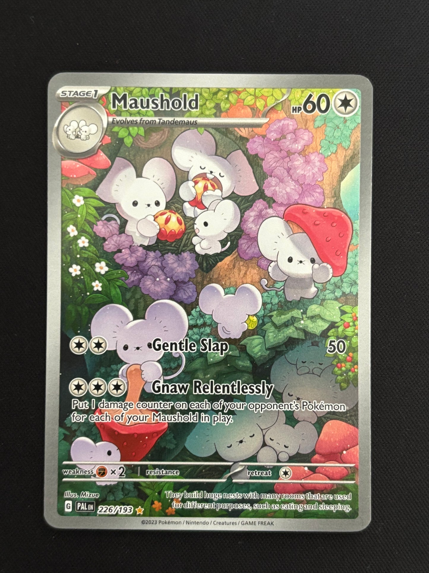 Maushold 226/193 | Paldea Evolved
